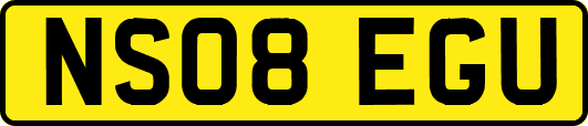 NS08EGU