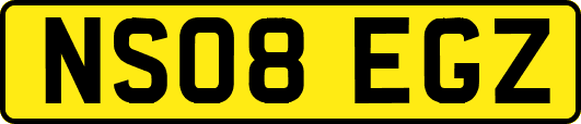 NS08EGZ