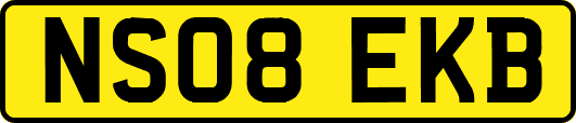 NS08EKB