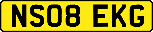 NS08EKG