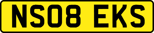 NS08EKS