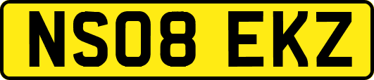 NS08EKZ