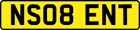 NS08ENT