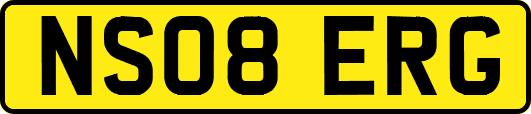 NS08ERG