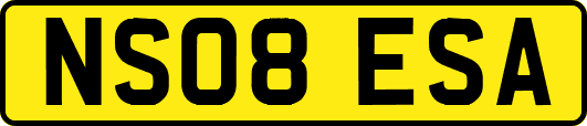 NS08ESA