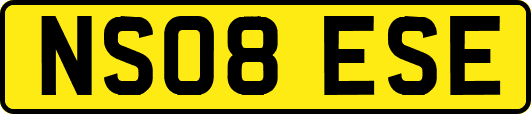 NS08ESE