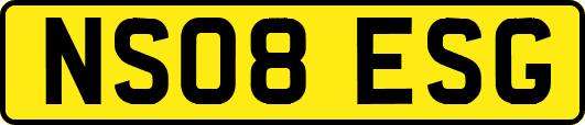 NS08ESG