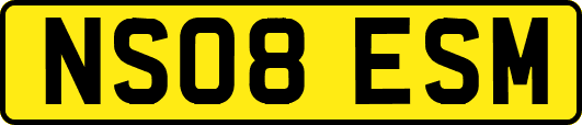 NS08ESM