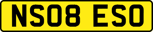 NS08ESO