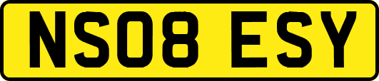 NS08ESY