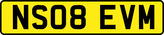 NS08EVM