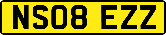 NS08EZZ