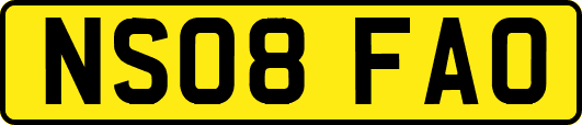 NS08FAO