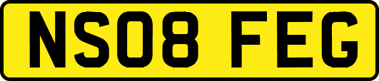NS08FEG