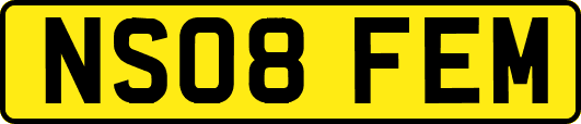 NS08FEM