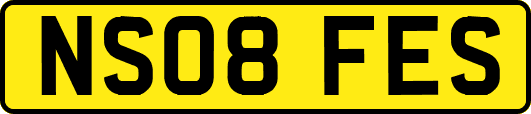 NS08FES