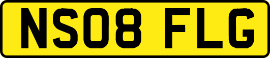 NS08FLG