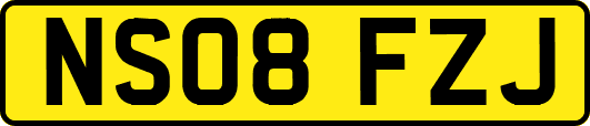 NS08FZJ