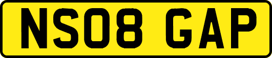 NS08GAP