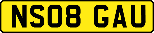 NS08GAU