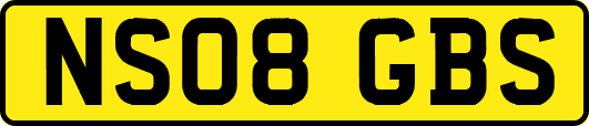 NS08GBS