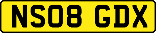 NS08GDX