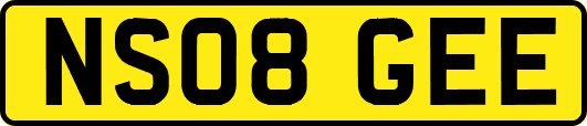 NS08GEE