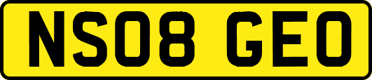 NS08GEO