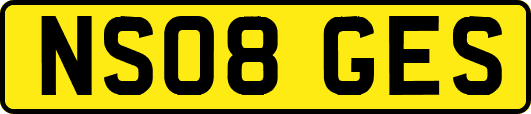 NS08GES