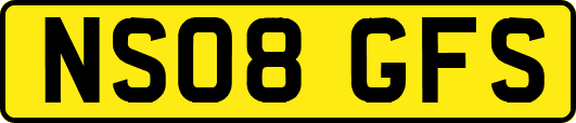 NS08GFS