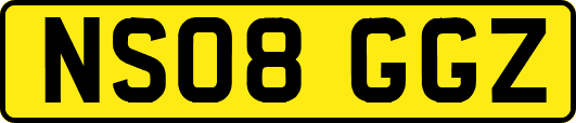NS08GGZ