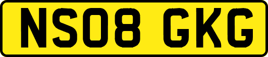 NS08GKG