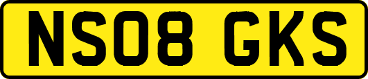 NS08GKS