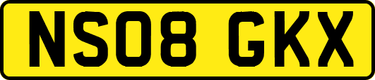 NS08GKX