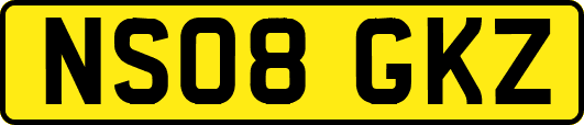 NS08GKZ