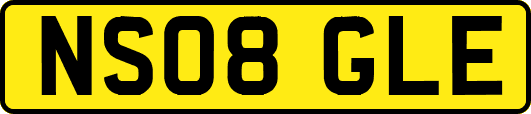 NS08GLE