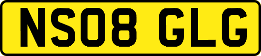NS08GLG