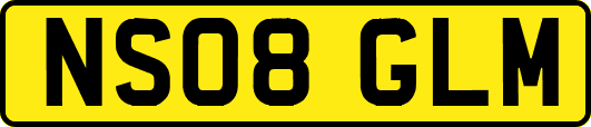 NS08GLM