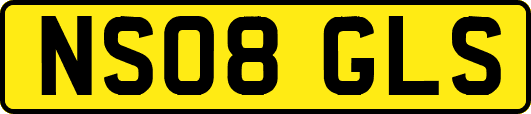NS08GLS