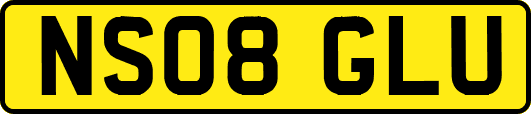 NS08GLU
