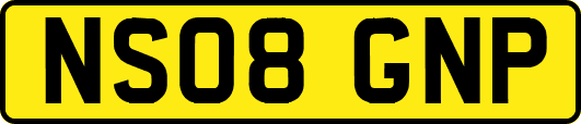 NS08GNP