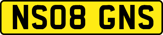 NS08GNS