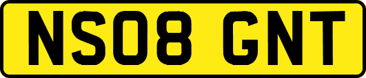 NS08GNT