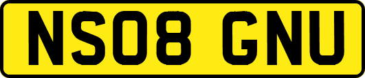 NS08GNU