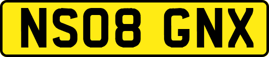 NS08GNX
