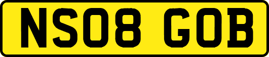NS08GOB