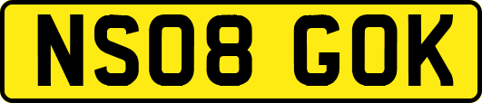 NS08GOK