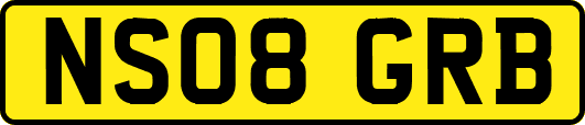 NS08GRB