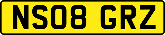 NS08GRZ
