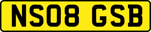 NS08GSB